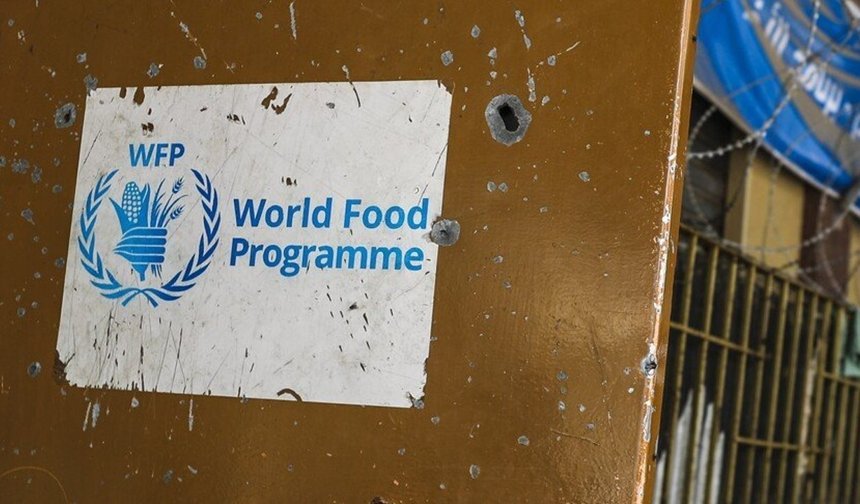 Dünya Gıda Programı: Lübnan'ın güneyinde marketlerin yüzde 80'i hizmet dışı ve insani yardım zorunlu