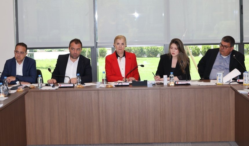 Ekonomi, Maliye, Bütçe ve Plan Komitesi bugün toplandı