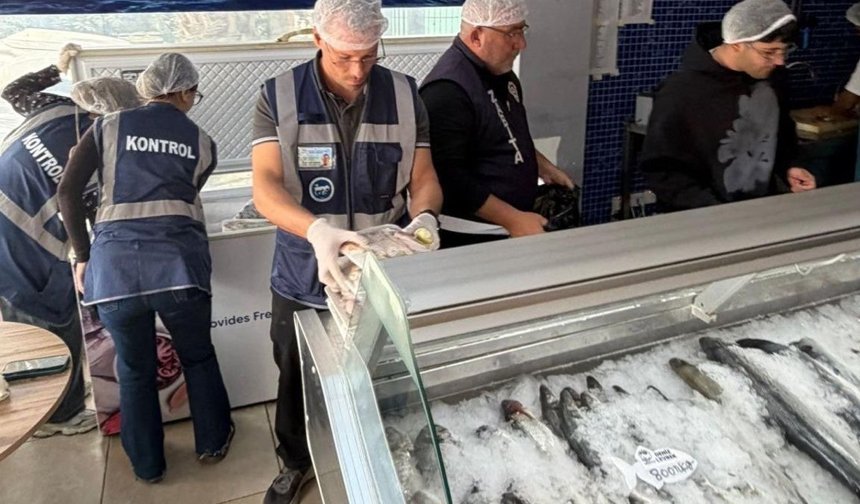 Gönyeli ve Alayköy bölgesindeki su ürünleri perakende satış yerleri denetlendi