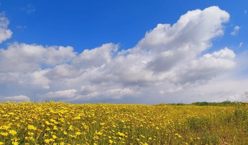 Hava sıcaklığı yükselerek, 24-27 derece dolaylarında seyredecek