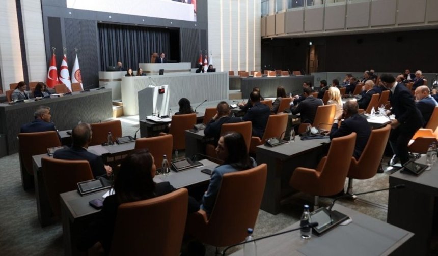 Meclis denetim göreviyle toplanacak