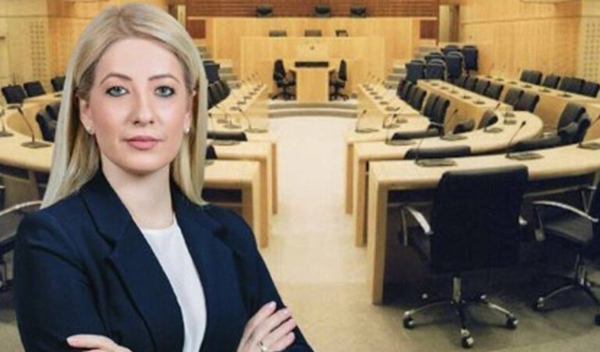 Rum Meclis ve DİSİ Başkanı Dimitriu Ağrotur'da geniş kapsamlı toplantıya katıldı