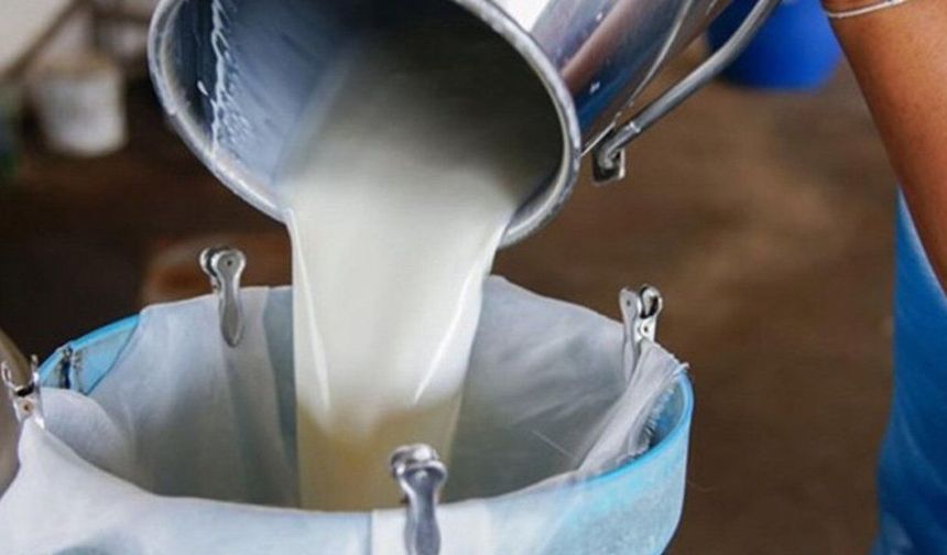 Süt bedelleri ödendi