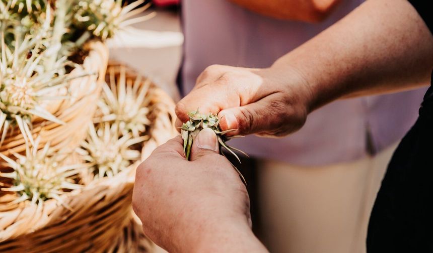 Yiğitler Gafgarıt Festivali 5 Nisan'da yapılıyor