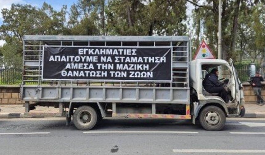 Güney Kıbrıs'ta Hayvancılar eyleme hazırlanıyor