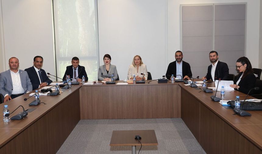 Konut Edindirme (Değişiklik) Yasası yeniden komitede
