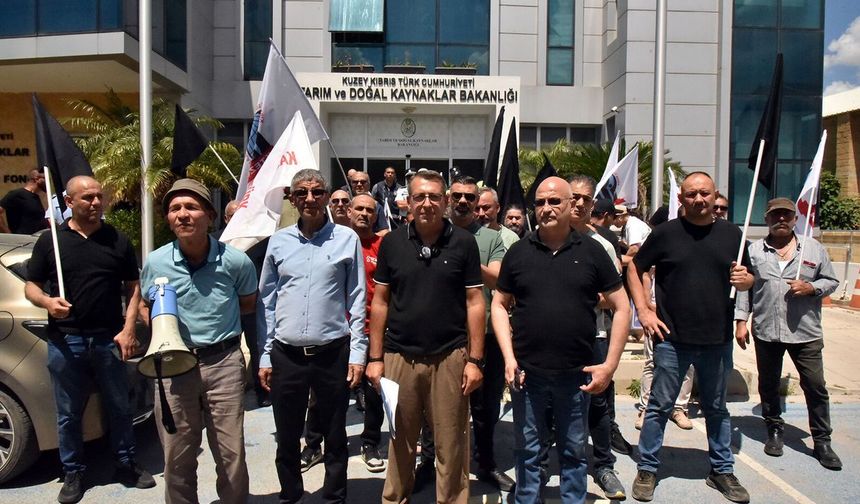 KTEZO ile Kasaplar Birliği'nden eylem...'Yerli et sübvanse edilsin'