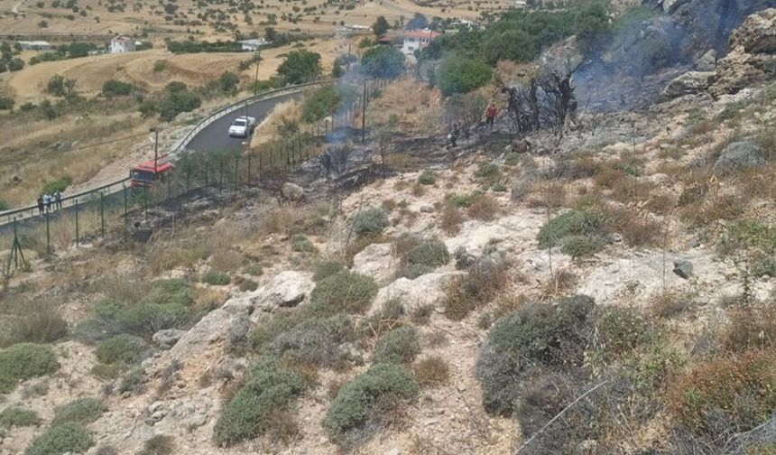 Çavuş: 'Koordineli ve zamanında müdahaleyle Taşkent'teki yangın hızlıca kontrol altına alındı'