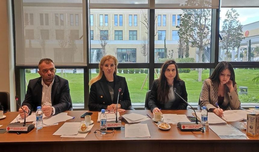 Ekonomi, Maliye, Bütçe ve Plan Komitesi bugün toplandı