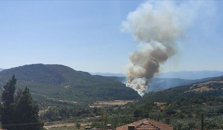 Manisa'nın Soma ilçesinde orman yangını çıktı