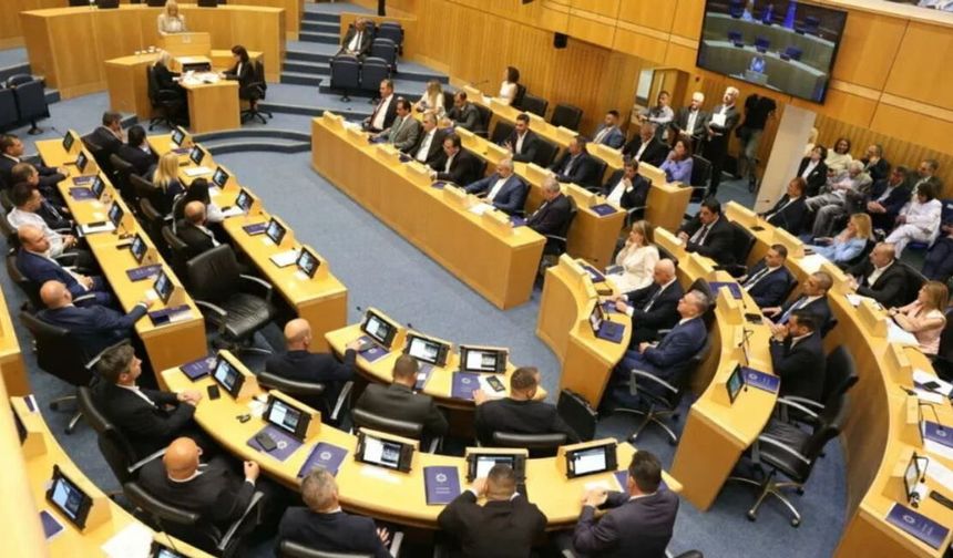 Rum Meclisi'nde komite dağılımı yapıldı, boşta kalan komiteler ELAM'a verildi