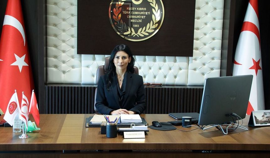 Meclis Başkan Yardımcısı Özdenefe: 'AP, Kıbrıslı Türk kadınları ve adadaki gerçekliği yok saydı'