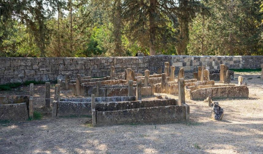 Tarihi Türk mezarlıkları ve şehitliklerin korunmasına yönelik çalışmalar sürüyor