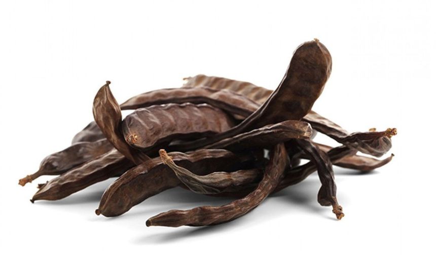 Lefke'de harup ve erkenci zeytin hasadı 24 Ağustos, yerli zeytin hasadı 14 Eylül'de...
