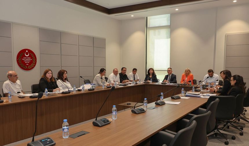 Hukuk Komitesi'nde bir yasa, bir de karar tasarısı görüşüldü