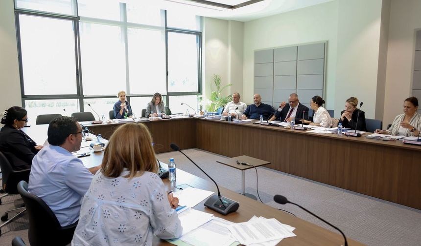 'Kamu Mali Yönetimi ve Kontrol (Değişiklik) Yasa Tasarısı' komitede onaylanarak Genel Kurul'a sevk edildi