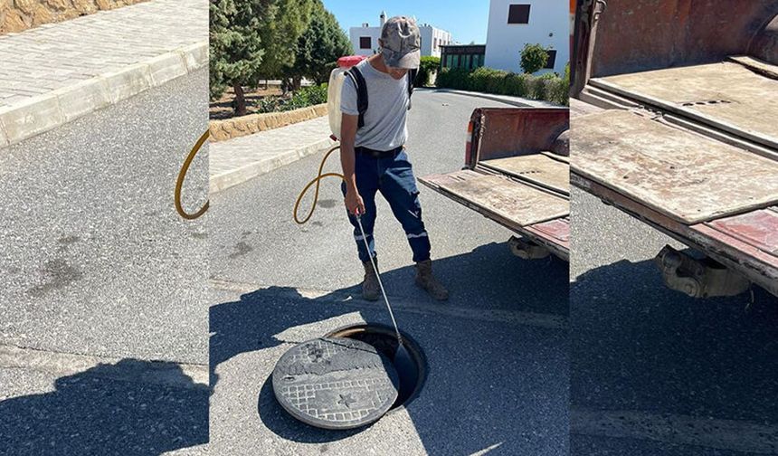 Tatlısu Belediyesi, Batı Nil Virüsü'ne karşı sivrisinekle mücadele çalışmalarını yoğunlaştırdı