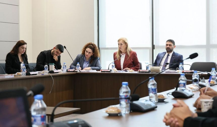 Gemi Faciasının Araştırılmasına İlişkin Meclis Araştırma Komitesi toplandı